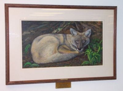 Coyote
by Sanford Art Association member Lawrence C. Sherburne (1991) [Location: Circulation Area]
