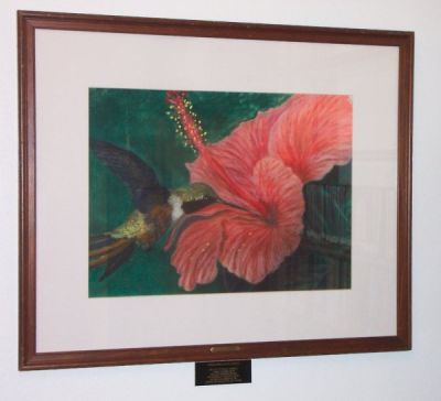 Bahama Woodstar and Hibiscus
by Lawrence C. Sherburne (1994) [Location: Community Room Lobby]
